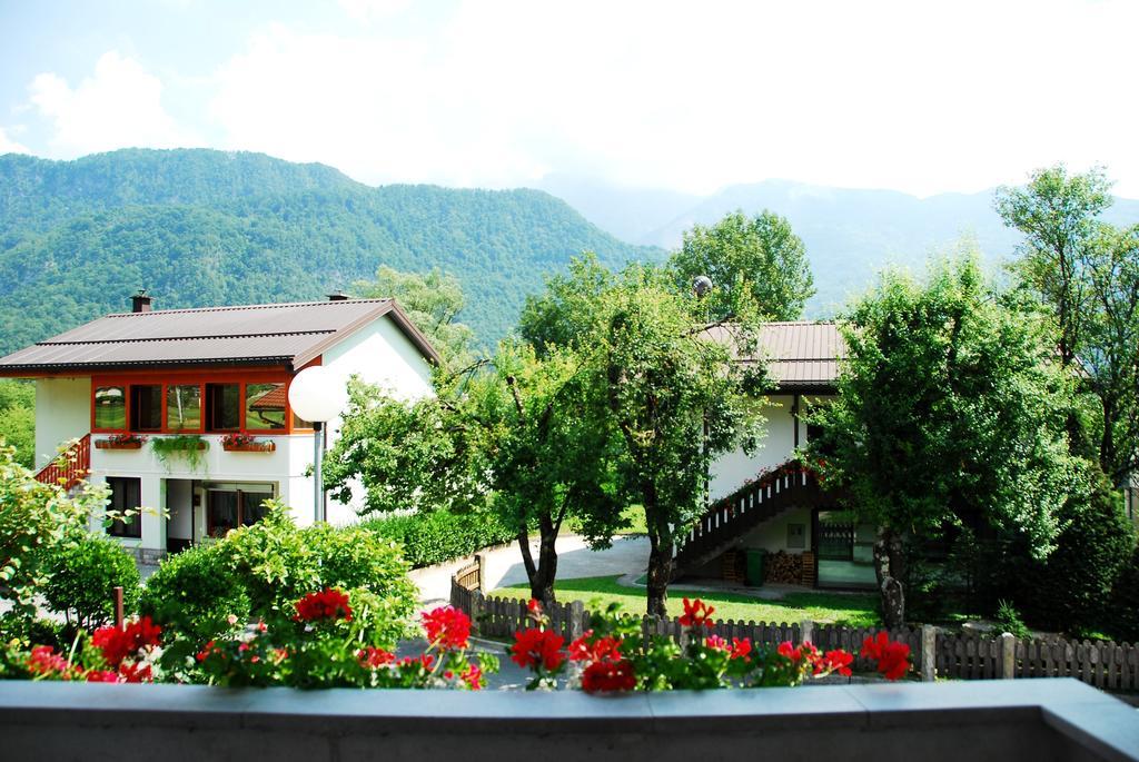 Budget Homestay Kobarid Zimmer foto